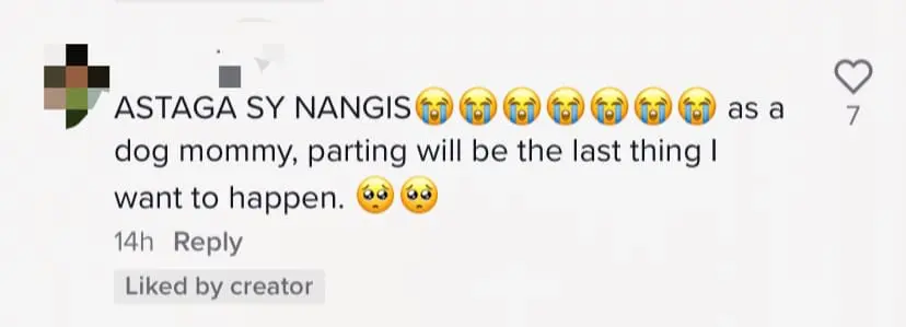 Netizens Saddened Over Loki's Last Moments With Its Owner During National Day Celebration