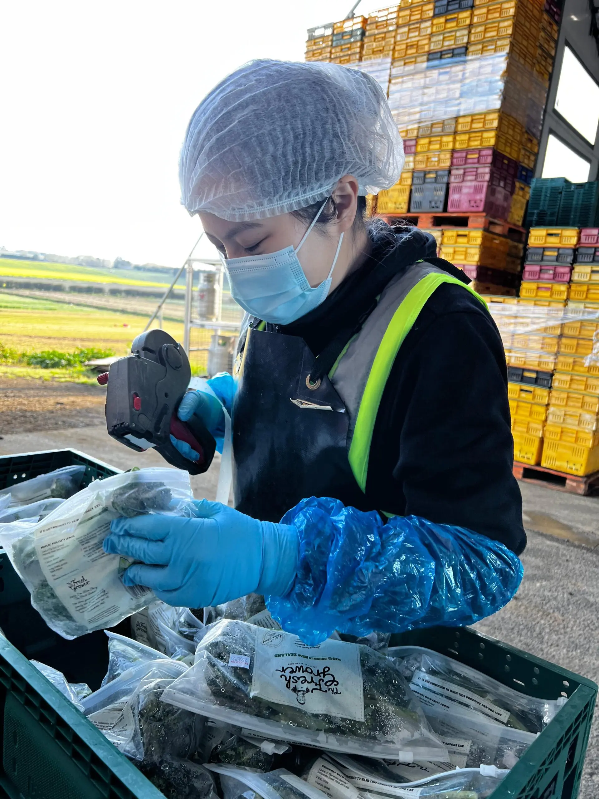 I'm A 28yo M'sian Who Graduated From Top Uni But I Do Physical Labour Jobs In New Zealand & It's Life Rewarding