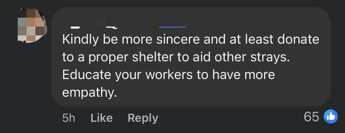 Courier Van Runs Over Sleeping Dog In S'gor, Company Says It Was An 'Accident' comment 3