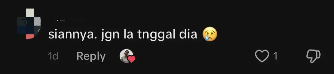 M’sian Man Bids Goodbye To Stray Dog He Cared For Years As He Had To Move House comment 1