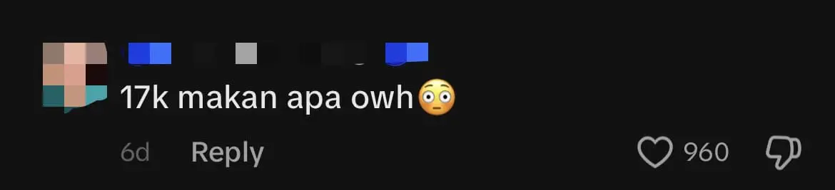 M'sian Influencer Allegedly Spends RM17K On Meal With Family, Turns Out The Bill Wasn't Hers comment 1