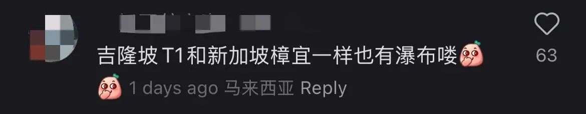 'Only In Malaysia!' — KLIA 1 Has Mini 'Flood' After Water Leaks Through Roof comment 1