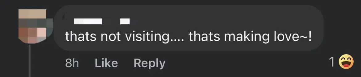 Pair Of Hornbills Spotted Mating At Flat's Kitchen Window In S'pore comment 1