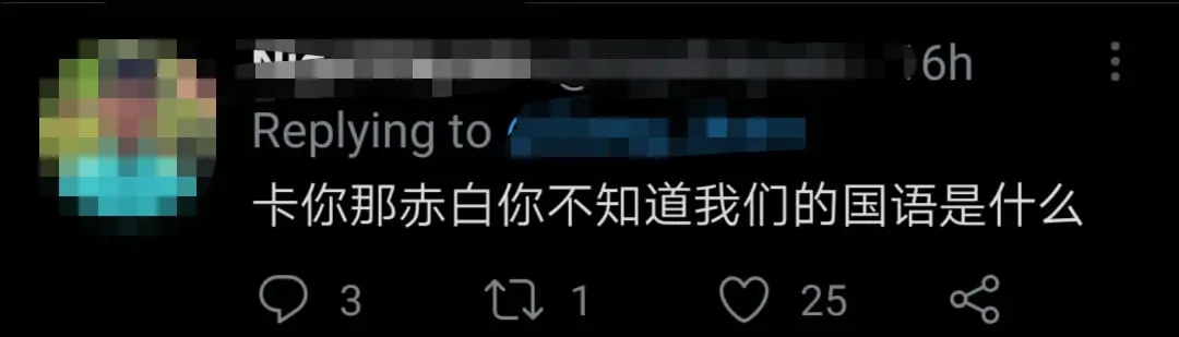 BN candidate Leong Hui Ying struggles to answer question posed by reporters in Bahasa Malaysia