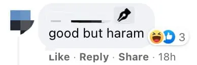 Comment under Entrepreneurs and Startups in Malaysia 06