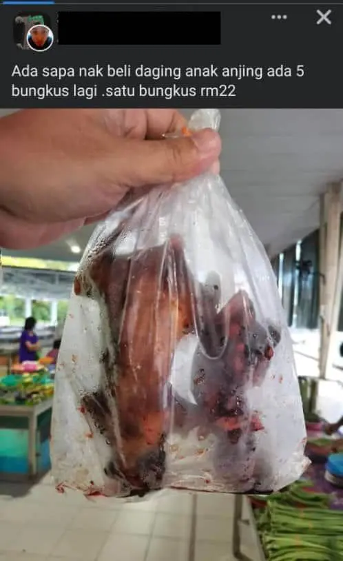 Fried dog puppy meat sold in Sarawak for RM22, netizens ask for investigations