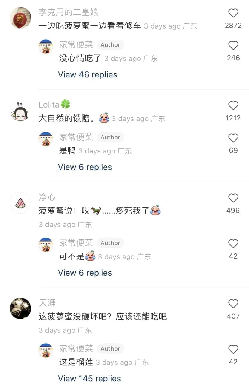 Giant Cempedak falls on car's windscreen, car owner seeks help online