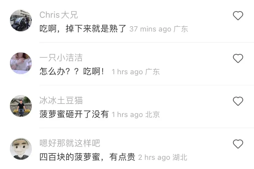 Giant Cempedak falls on car's windscreen, car owner seeks help online 01