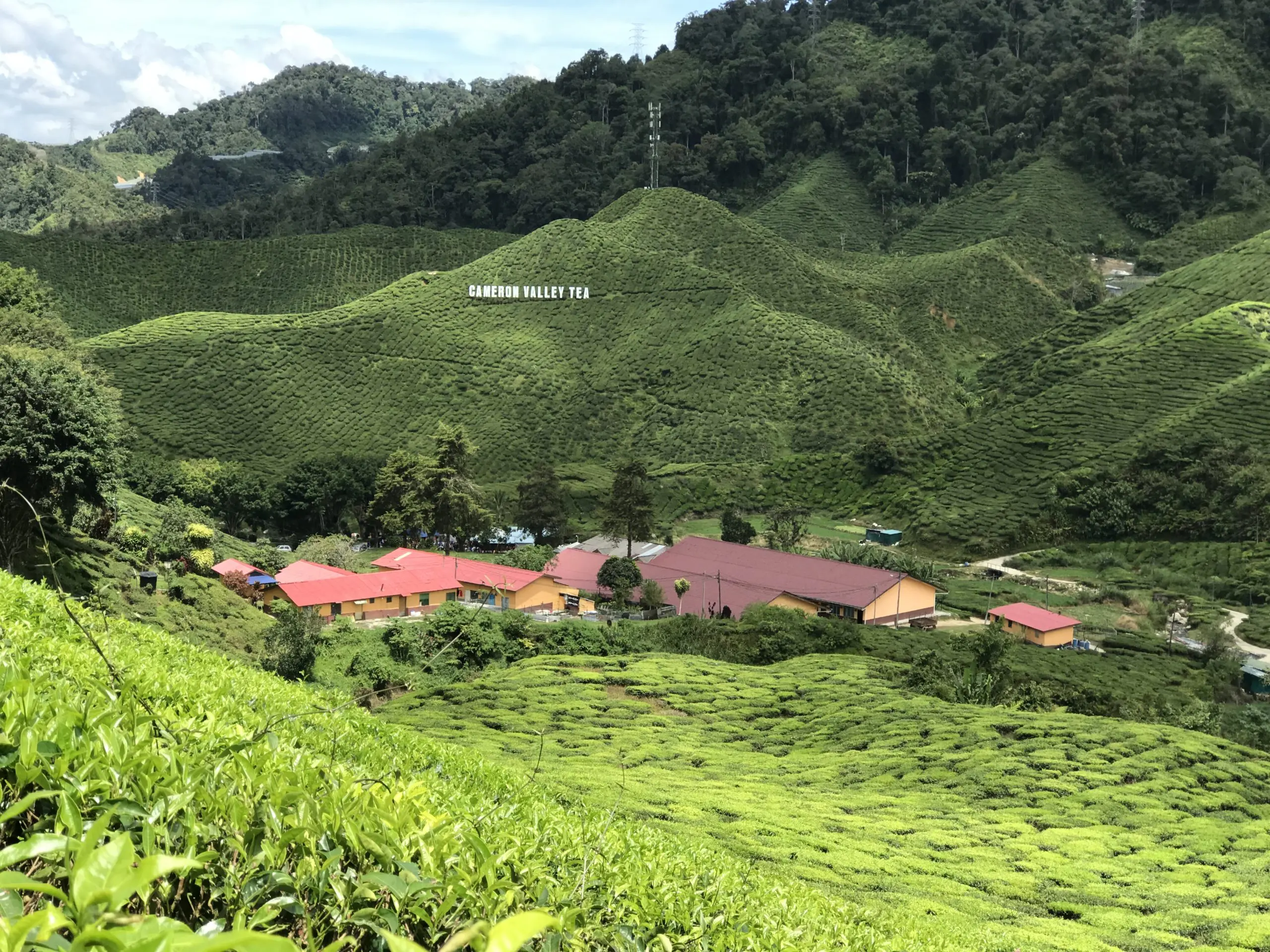 Budget Getaway Trip For A Scenery Change In Nature For 3d2n