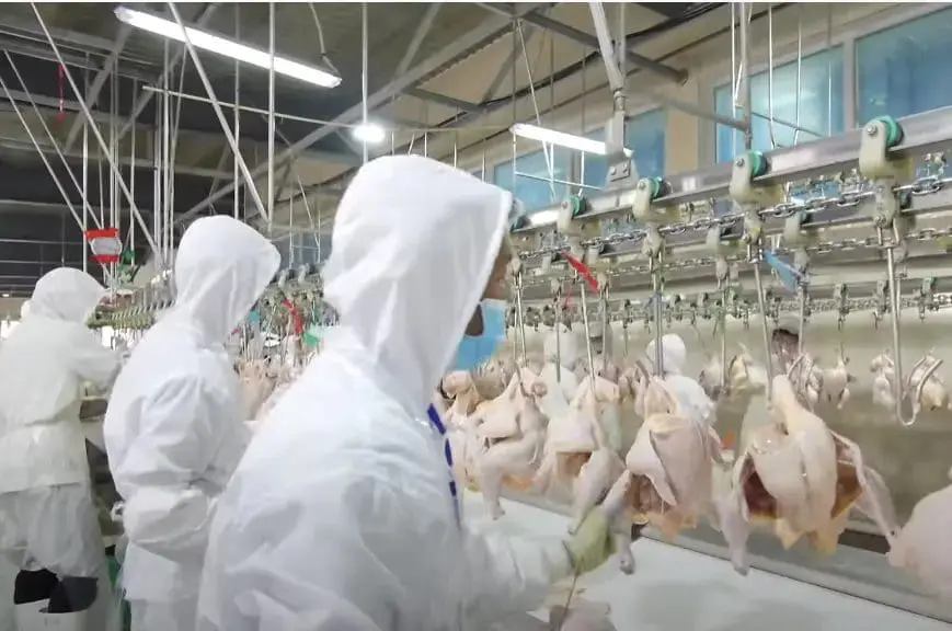 Spin chiller machine. For illustrative purposes only