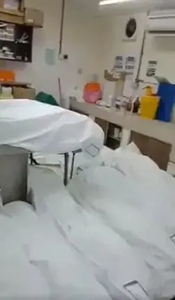 [VIDEO] Corpses seen lying around on the floor, was verified by official | WeirdKaya