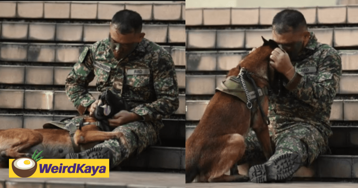 Netizens Saddened Over Loki's Last Moments With Its Owner During National Day Celebration