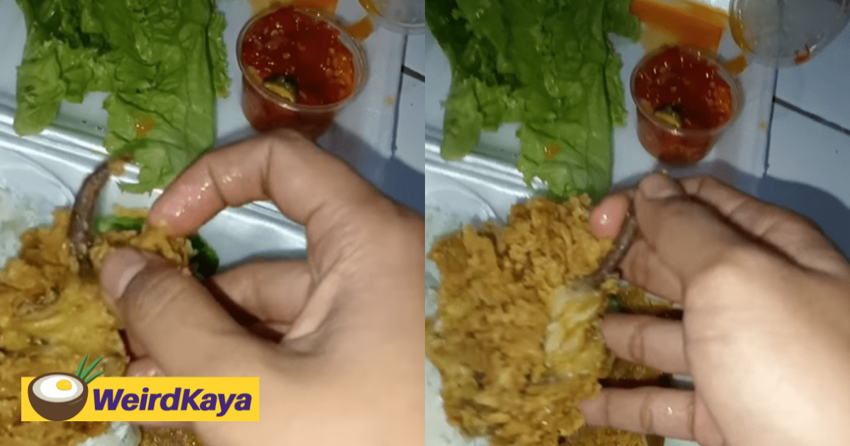[VIDEO] Oh Drats! Woman Finds Fried Tail Resembling That Of A Rat's Inside Meal