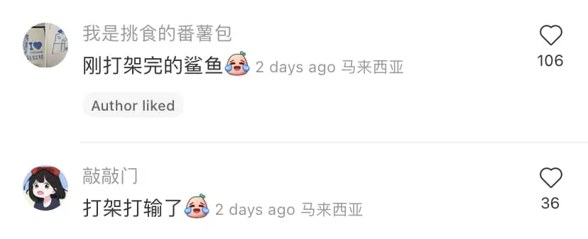 M'sian shares her IKEA shark-shaped bun that looks different from picture comment 03