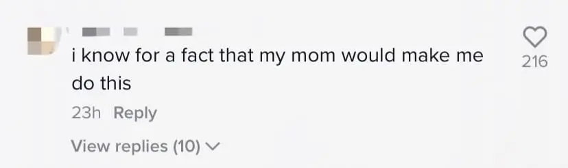 Sri petaling karen comment 1