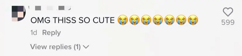 Terengganu girl surprises boyfriend in selangor comment 05