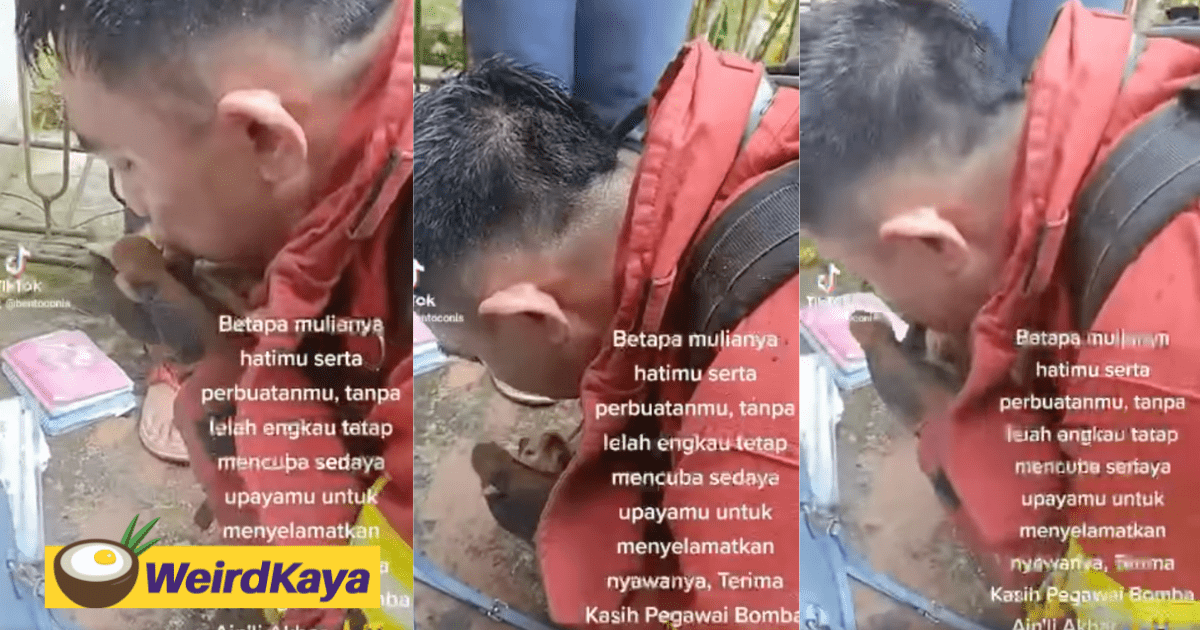 [VIDEO] Firefighter attempts to save cat's life by doing mouth-to-mouth CPR