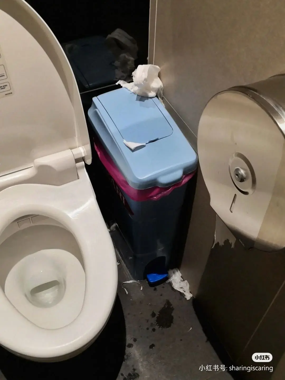 Lalaport Shopper slams M'sians for poor civic responsibility over dirty toilets