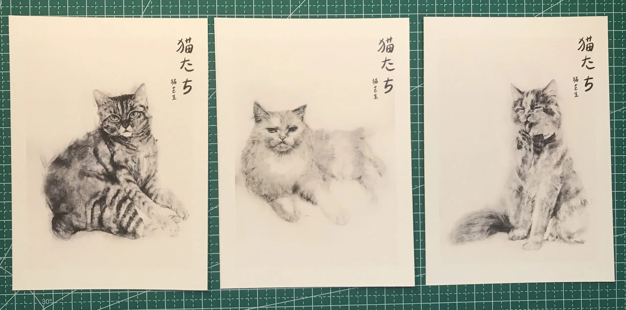 Printed portraits of artist's cats in charcoal and the studio's logo - Nekotachi.