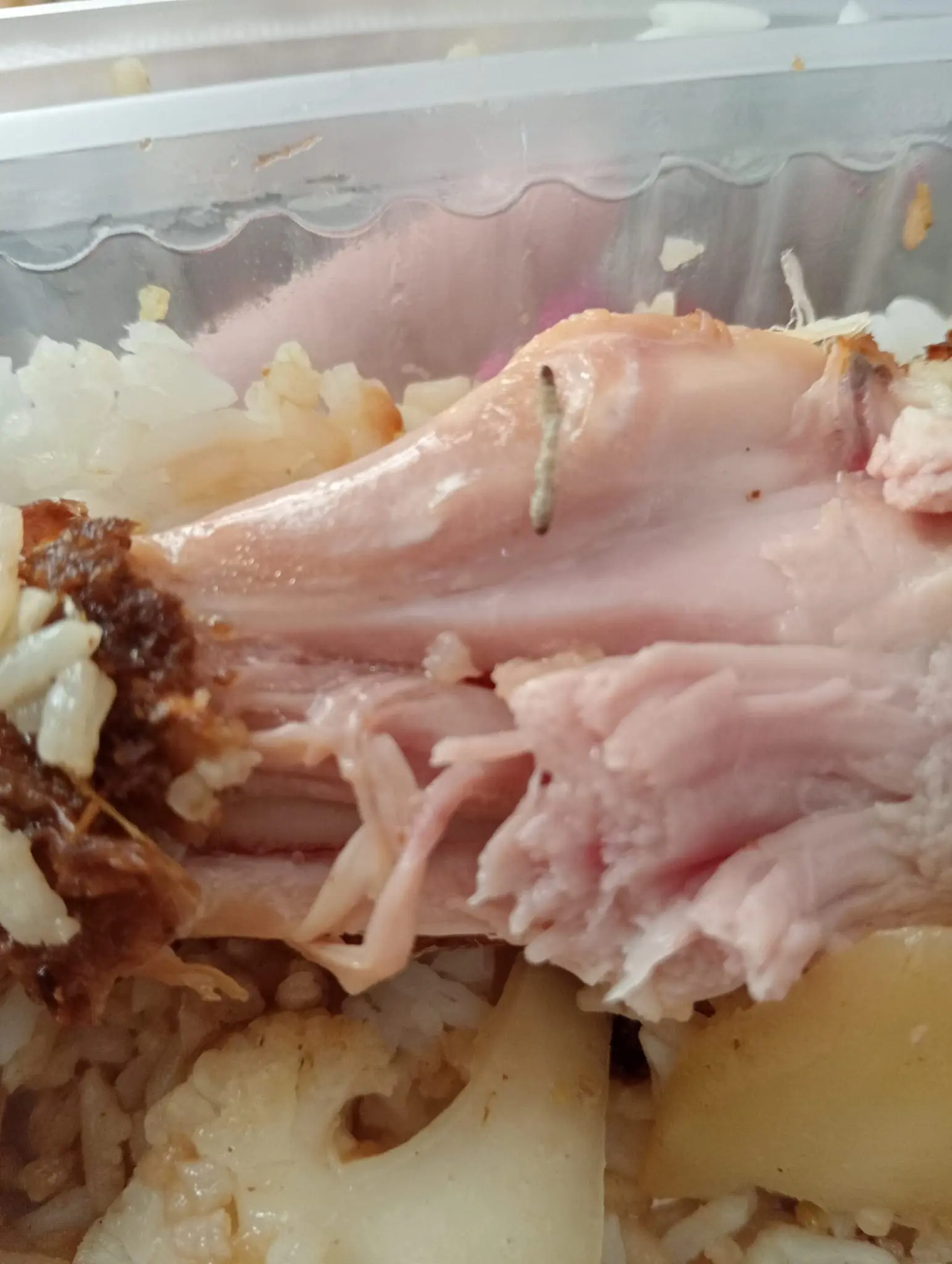 a tiny maggot found inside of the half eaten fried chicken