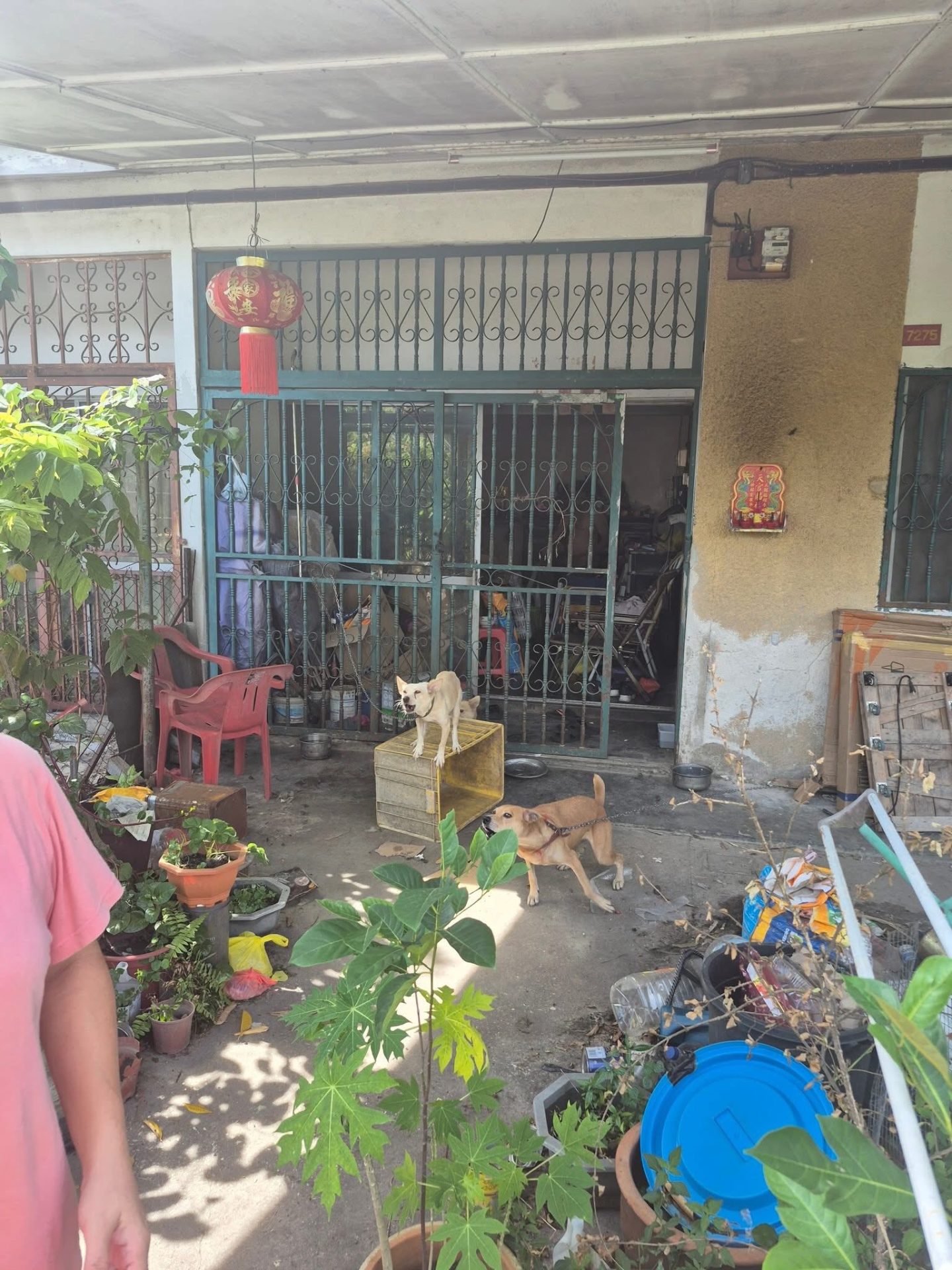 Abandon uncle's house