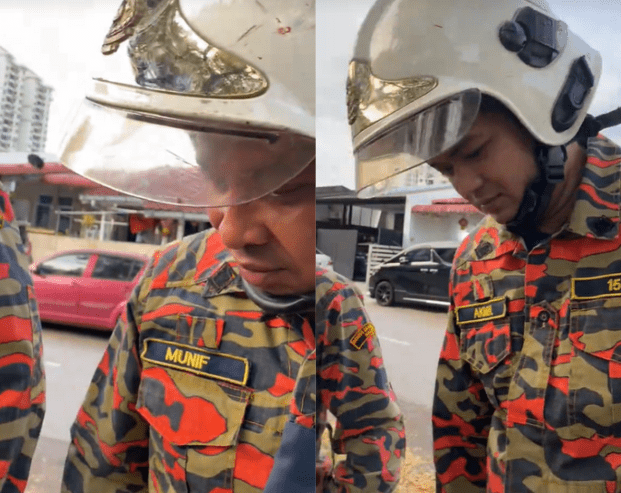 Abang Bomba looks at cow