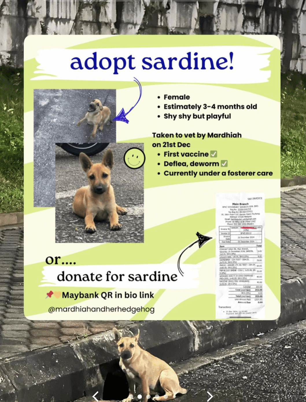 Adoption Poster