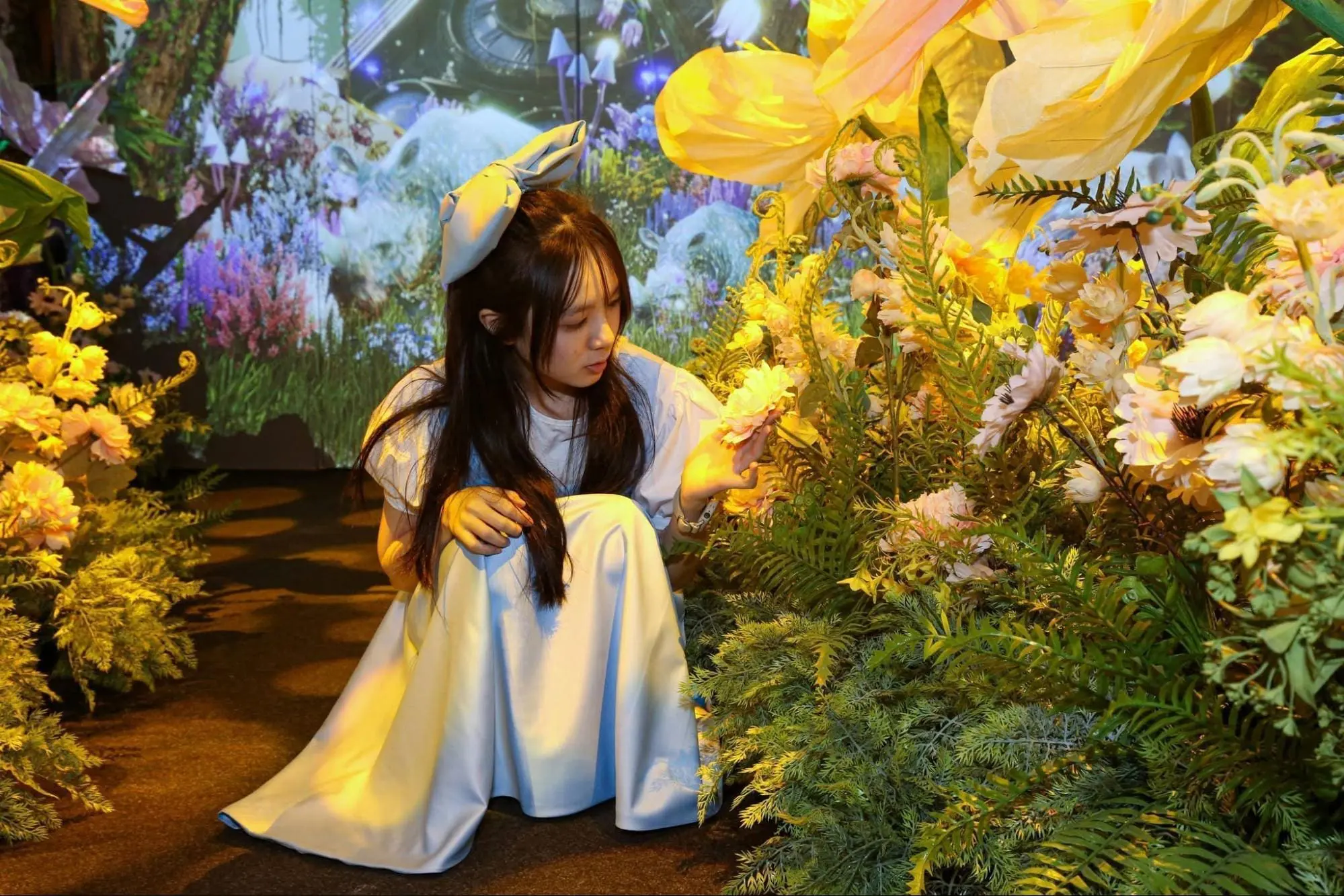 Alice Saves Wonderland (ASW) - the enchanted forest