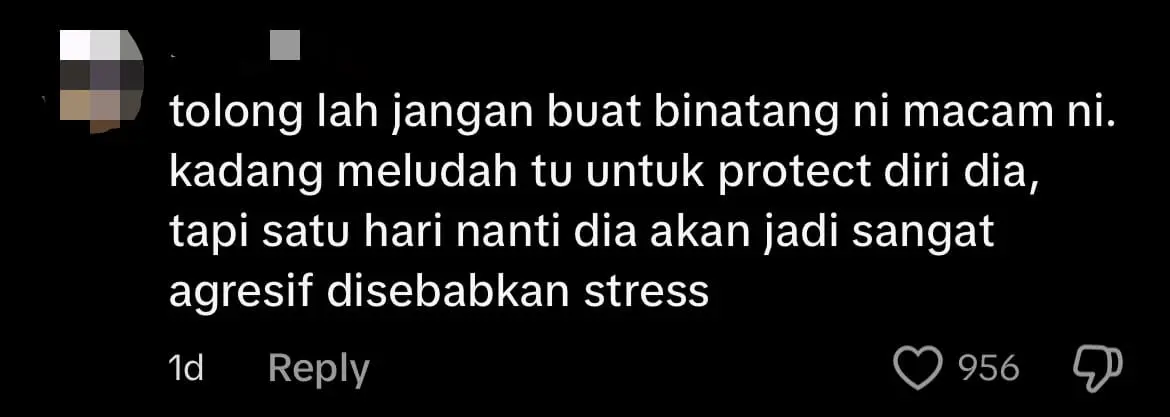 M'sian Woman Gets Spat On By Alpaca After Playfully Tugging Its Ear comment 2