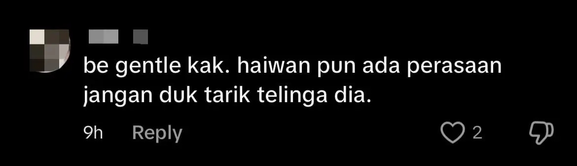 M'sian Woman Gets Spat On By Alpaca After Playfully Tugging Its Ear comment 3