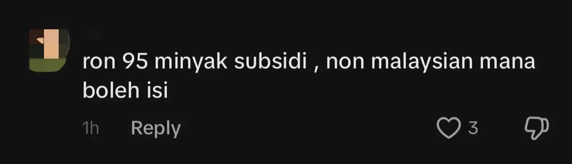 Woman Caught Pumping RON95 Into SG-Registered Car At JB, Triggers Backlash comment 2