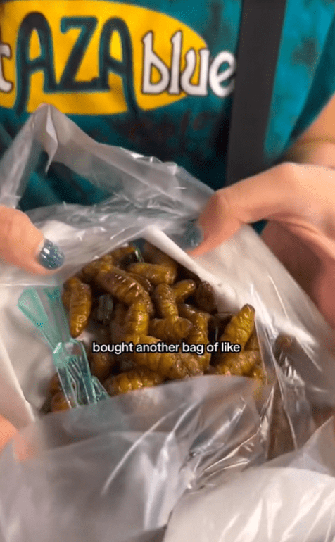 SG TikToker Nicolette Wee buys bag of silk worm larvae
