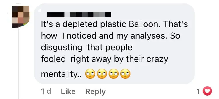 "Spice Up Your Sex Life...Literally" — Netizens Shocked To See Condom Inside Chicken Curry comment 3