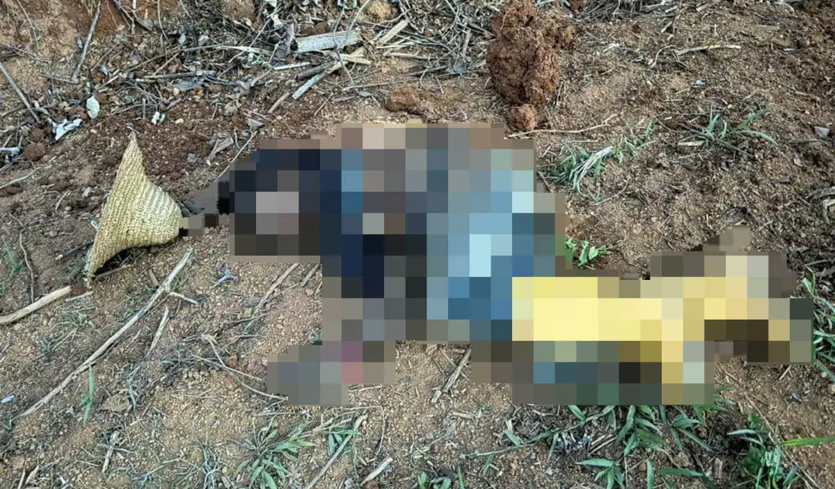 Bangla man killed by elephant in Kelantan