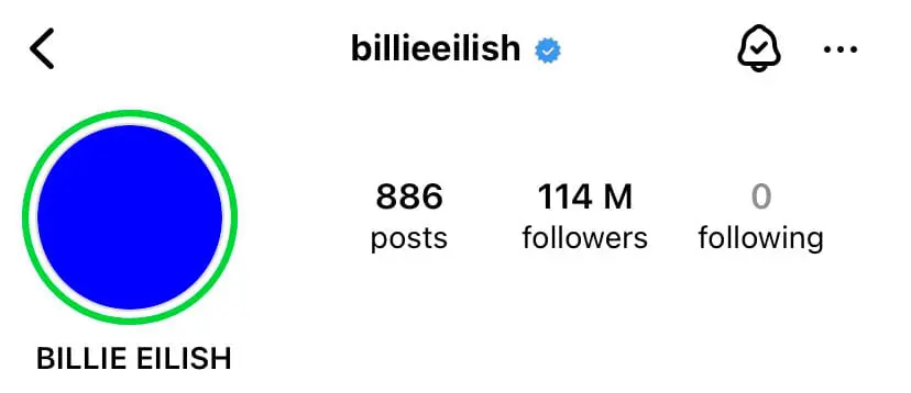 Billie Eilish close friend profile