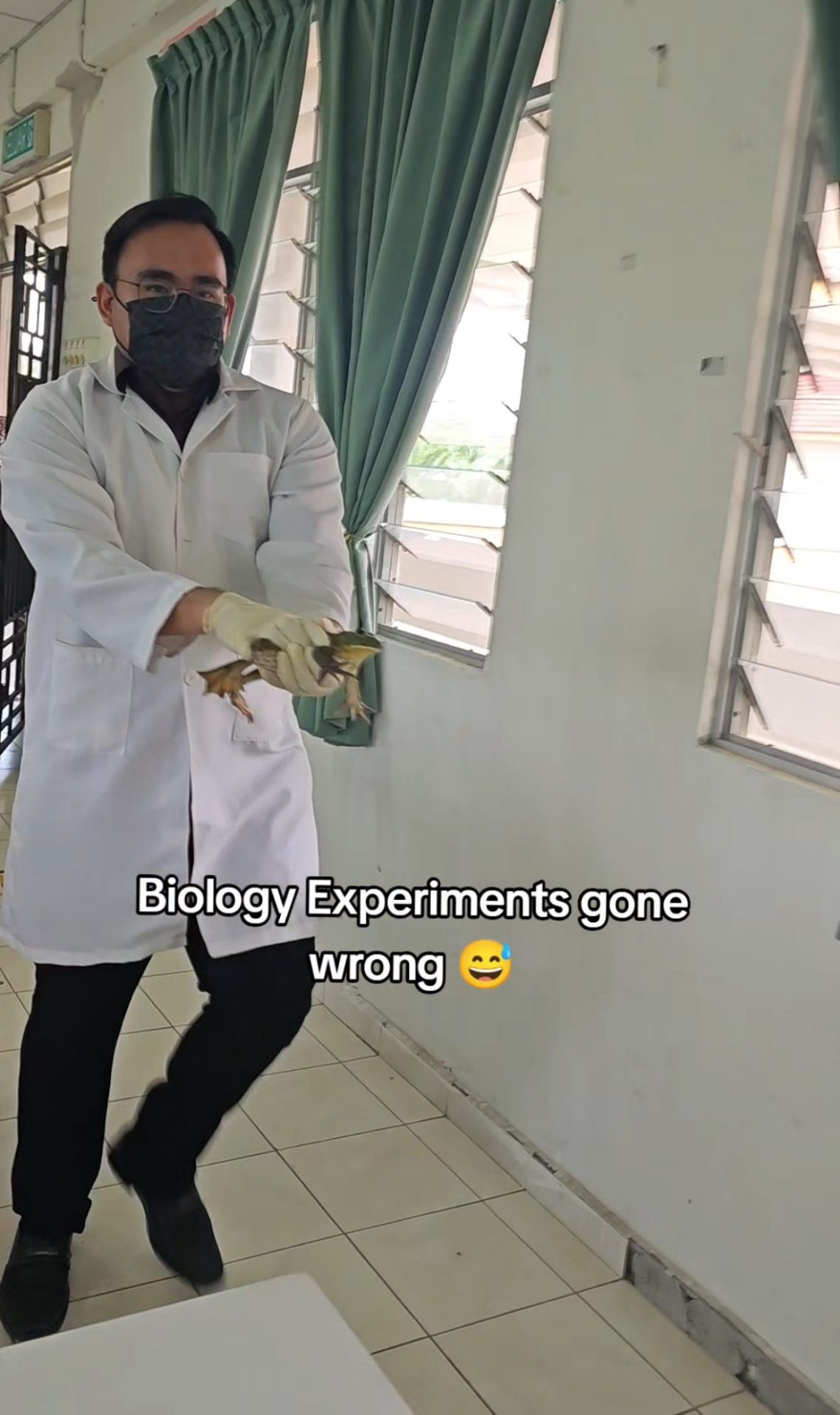 Biology Lesson Turns Into Frog Chase As Giant Amphibian Escapes Before Experiment Starts