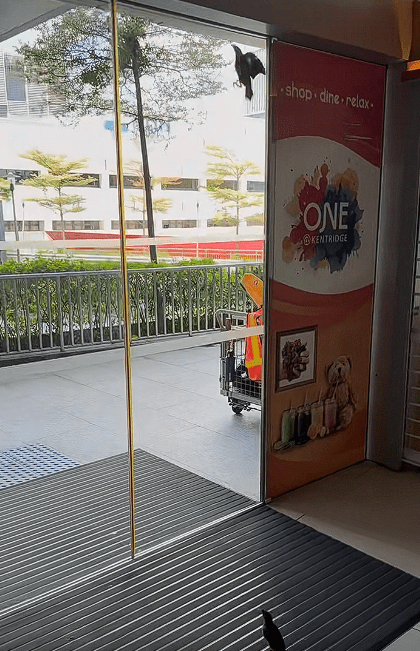 Bird triggering sliding door Screenshot 2024-12-27 175120 (2)