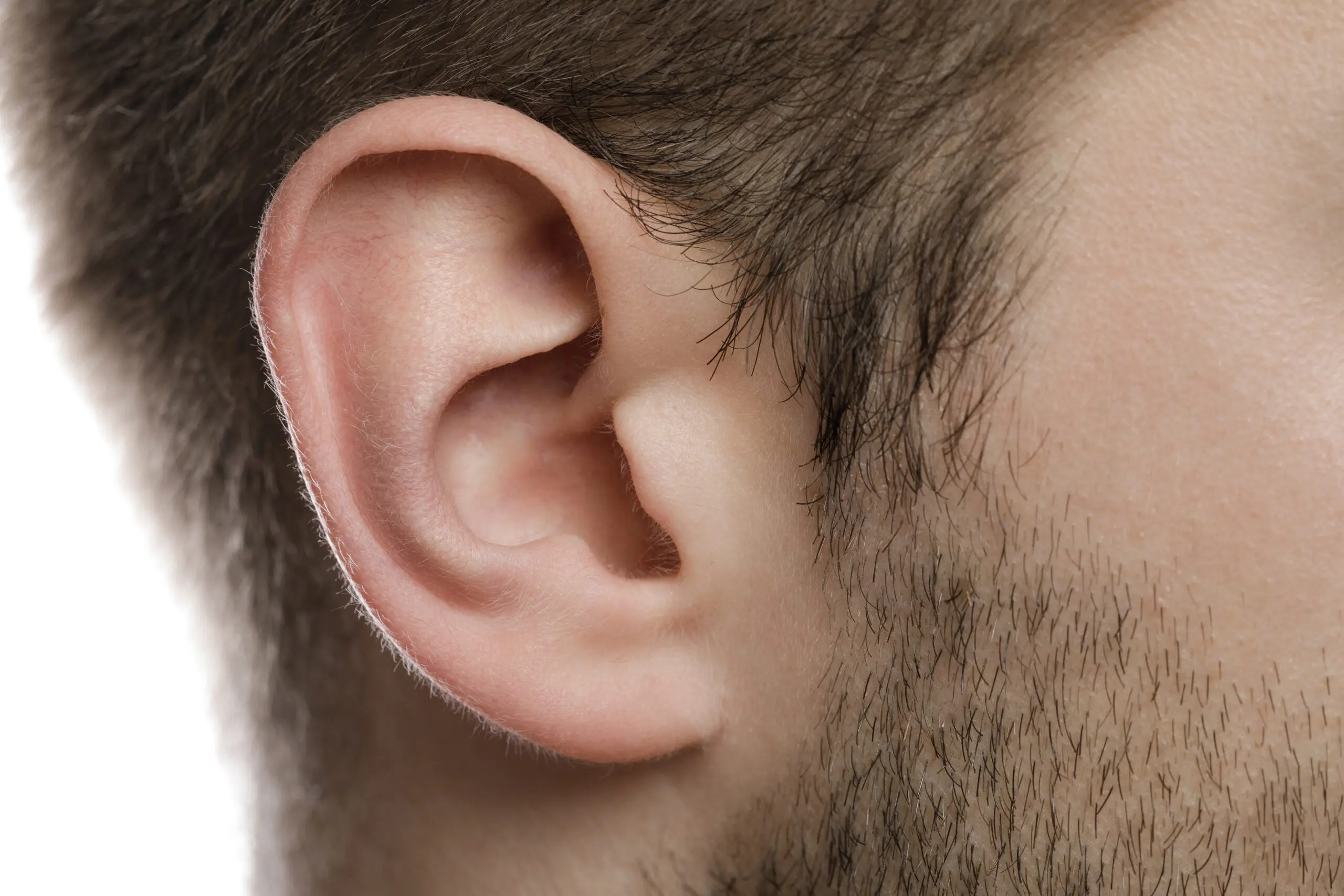 Man Bites Off Colleague's Earlobe While Drunk, Sentenced To 5 Months In Jail