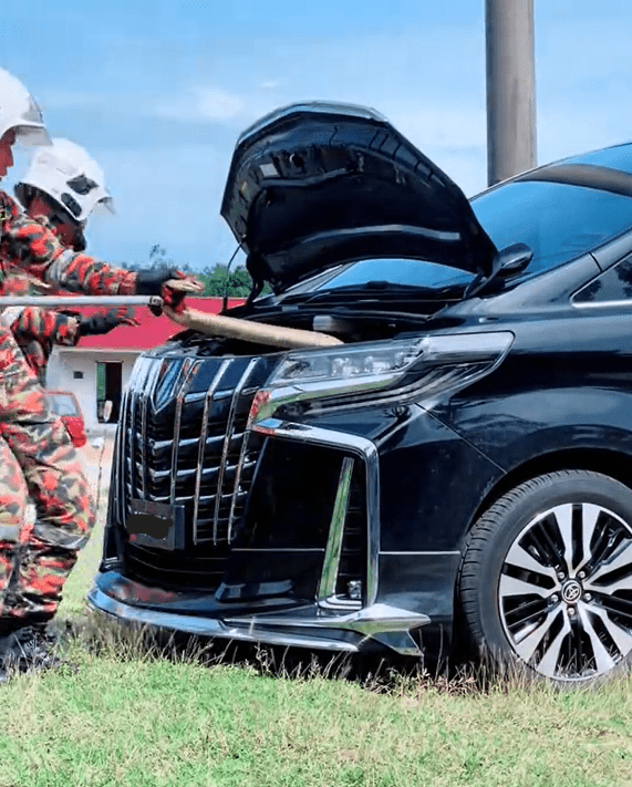 Bomba catching cobra in MPV Screenshot 2025-02-05 134437 (1)