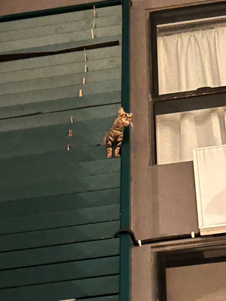 Brave M'sian Firefighter Saves Trapped Cat At 3am, Praised For Quick Response