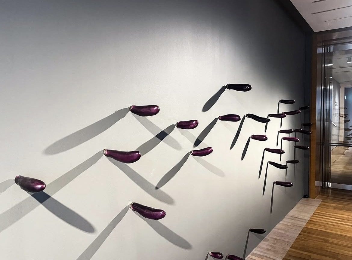 Brinjal exhibit called 'Still Life'