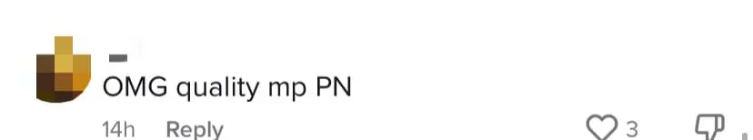 Budget 2023 PN MP bumiputera comment 06