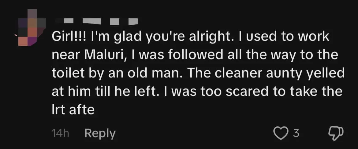 M'sian Woman Claims Aunty Slapped Her For No Reason At Maluri MRT Station comment 3