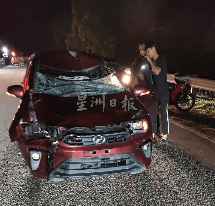 Car damaged after crashing into cow
