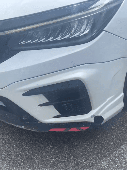 Car hit Black Panther (3)