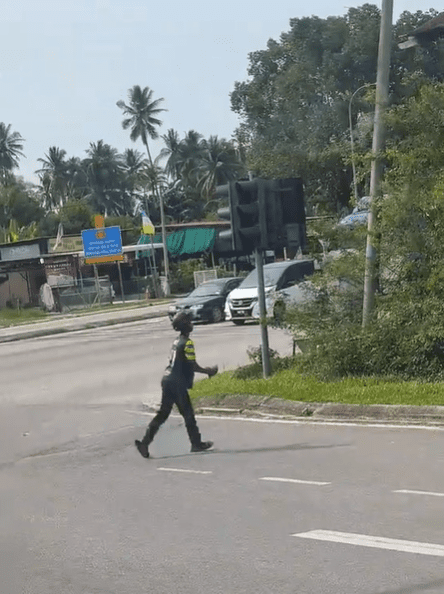 Carrying Tortoise across busy road (1)