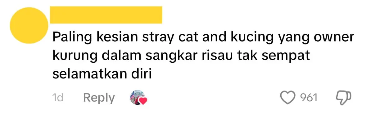 Cat floating around Comment 013