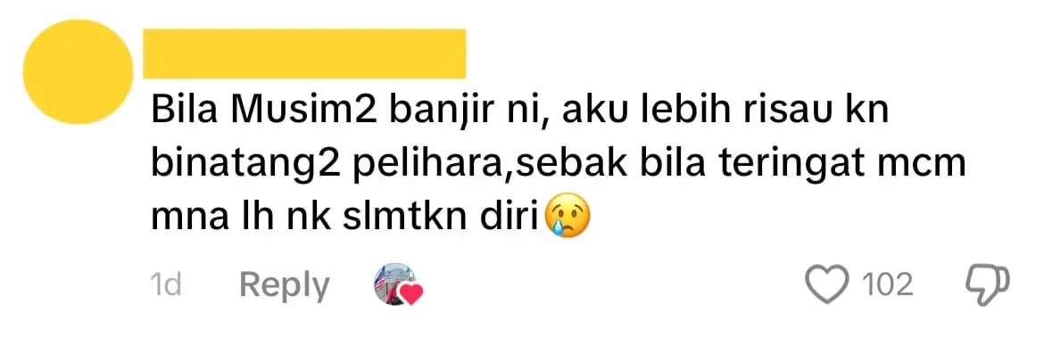 Cat floating around Comment 02