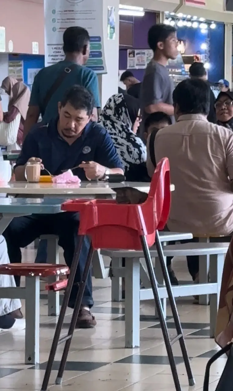 cat is sitting in a baby chair