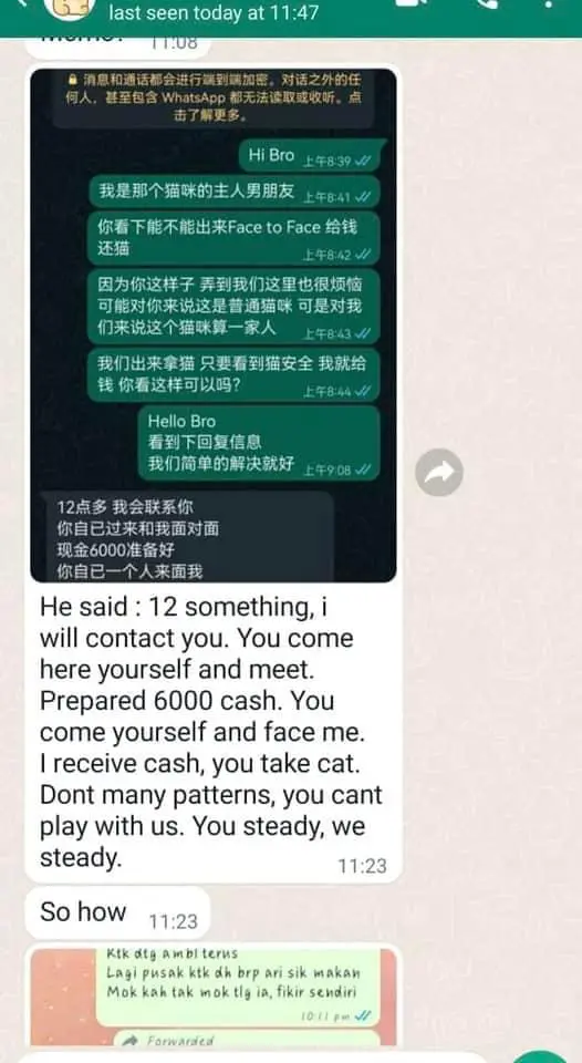 'Catnapper' Demands RM6k Ransom If The Owner Wants Their Cat To Be Safe